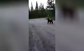 Woman Has Standoff With Grizzly Bear